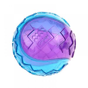 GiGwi-Squeaker-Transparent-Ball–1000×1000